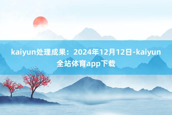 kaiyun处理成果：2024年12月12日-kaiyun全站体育app下载