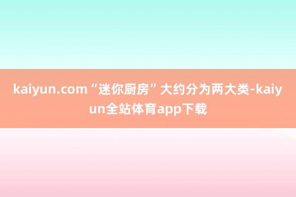 kaiyun.com“迷你厨房”大约分为两大类-kaiyun全站体育app下载