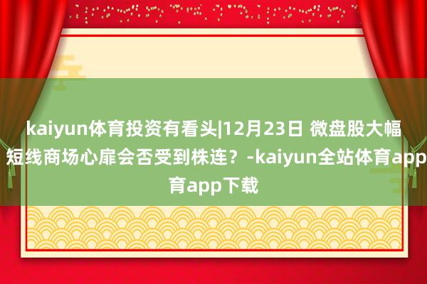 kaiyun体育投资有看头|12月23日 微盘股大幅下落 短线商场心扉会否受到株连？-kaiyun全站体育app下载