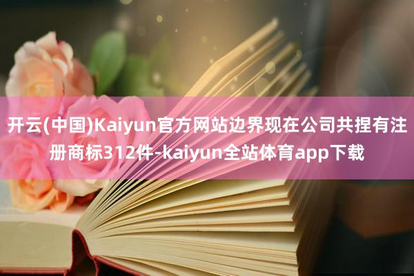 开云(中国)Kaiyun官方网站边界现在公司共捏有注册商标312件-kaiyun全站体育app下载