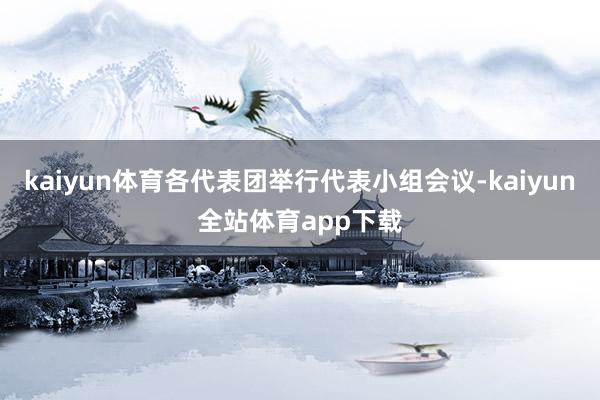 kaiyun体育各代表团举行代表小组会议-kaiyun全站体育app下载