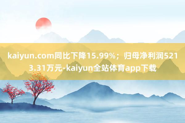 kaiyun.com同比下降15.99%；归母净利润5213.31万元-kaiyun全站体育app下载