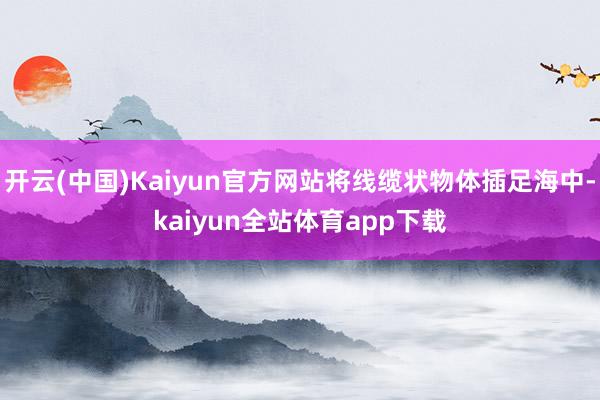 开云(中国)Kaiyun官方网站将线缆状物体插足海中-kaiyun全站体育app下载