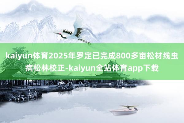 kaiyun体育2025年罗定已完成800多亩松材线虫病松林校正-kaiyun全站体育app下载